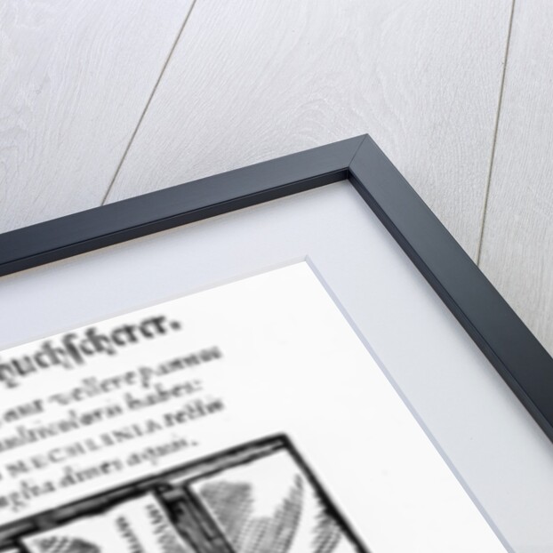 The Carder, published by Hartman Schopper by German School