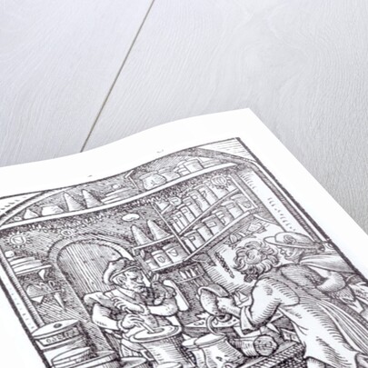 The Apothecary. by German School