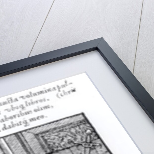 The Illustrator. by German School