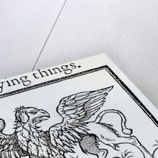 A Griffin by English School