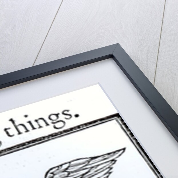 A Griffin by English School