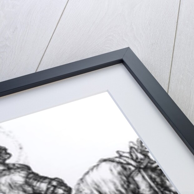 St. George and the Dragon by Albrecht Dürer or Duerer