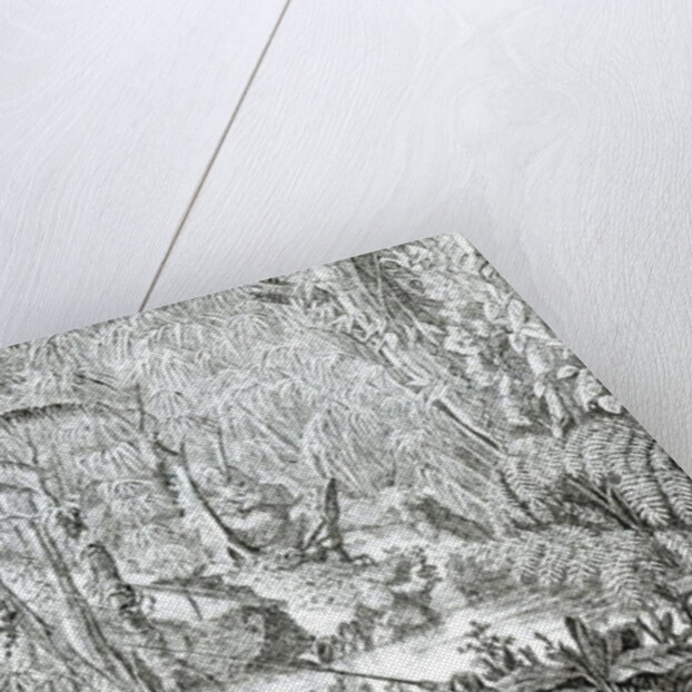 Interior of a Primeval Forest in the Amazons by English School