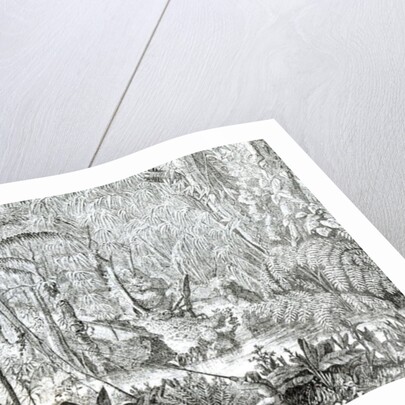 Interior of a Primeval Forest in the Amazons by English School