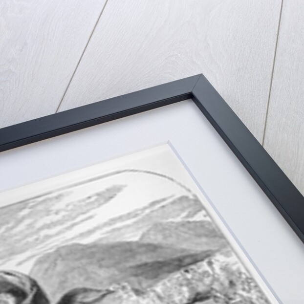 Erecting the Standard of the Young Pretender by English School