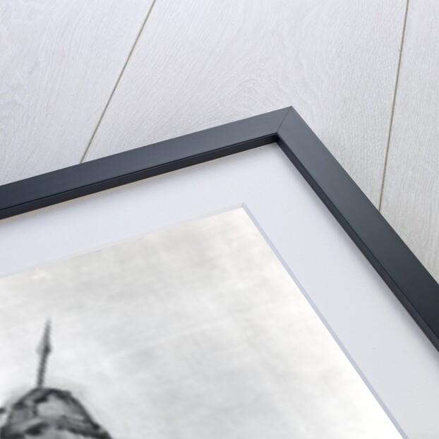 Portrait of Richard Burton by Richard Francis Burton