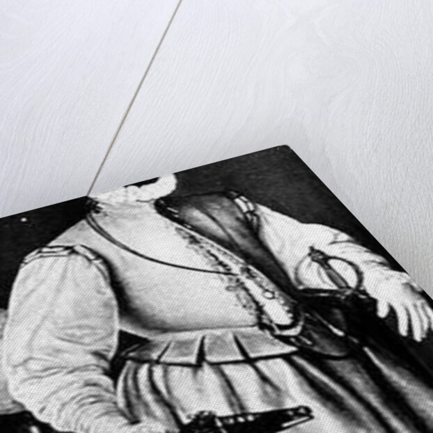 Portrait of Sir Martin Frobisher by English School