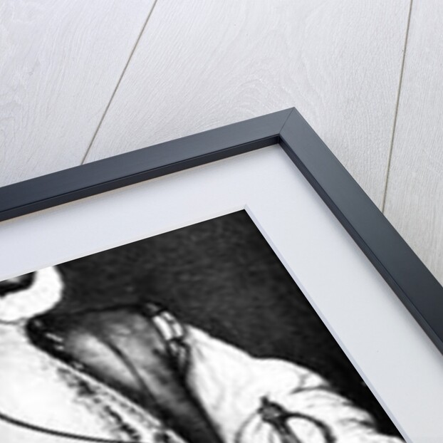 Portrait of Sir Martin Frobisher by English School