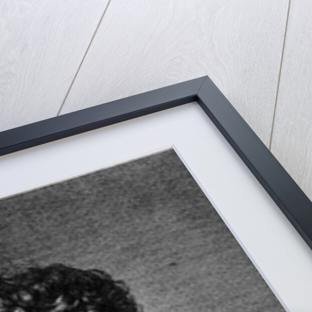 Portrait of Friedrich Heinrich Alexander, Baron von Humboldt by English School