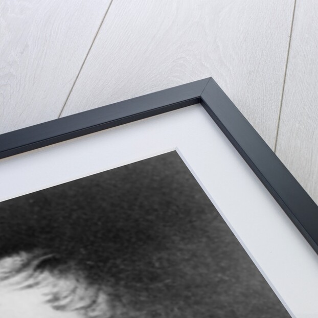 Portrait of Charles Sturt at the age of 54 by John Michael Crossland