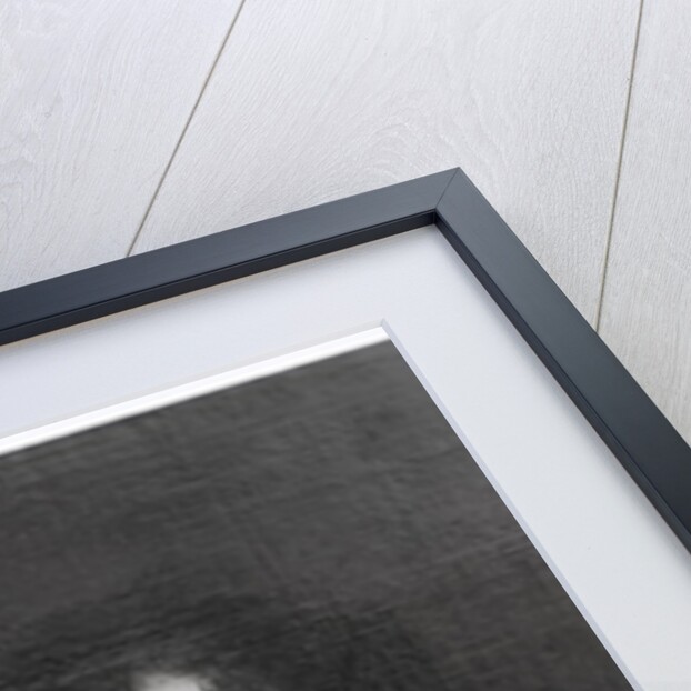 Portrait of Countess Ehrengard Melusina von der Schulenburg, Duchess of Kendal by English School