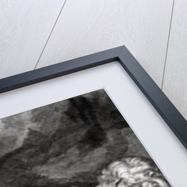Daniel in the Lions' Den by Peter Paul Rubens