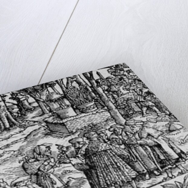 Medical Herb Cultivation, 1531 by English School