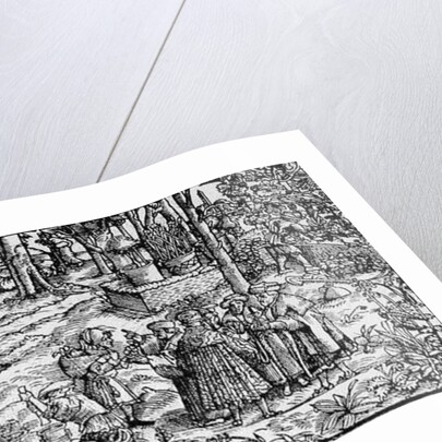 Medical Herb Cultivation, 1531 by English School