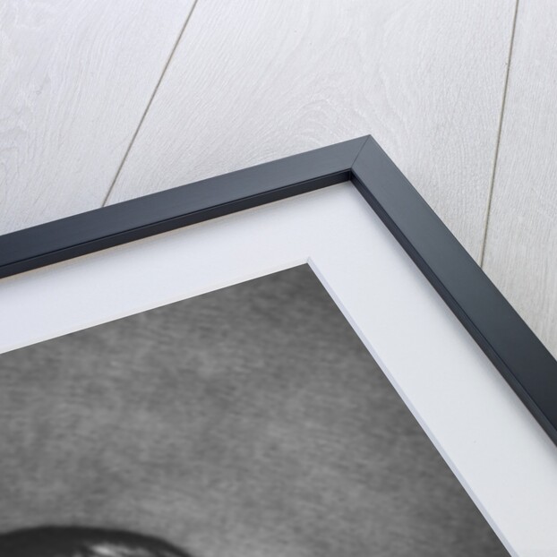 Portrait of Nathaniel Crew, Bishop of Durham, engraved by Richard Earlom and Charles Turner by English School