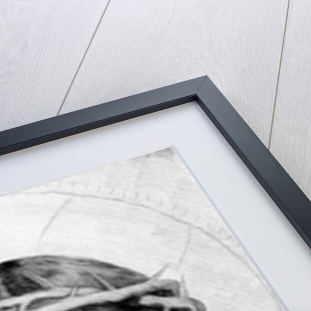 The Head of Christ, 1735 by Claude Mellan