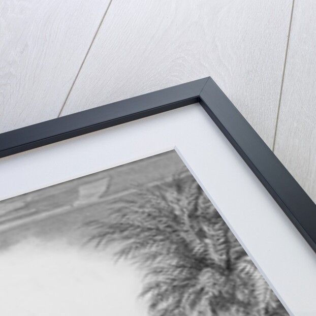 Portrait of Giovanni Battista Belzoni by Fabroni Fabroni