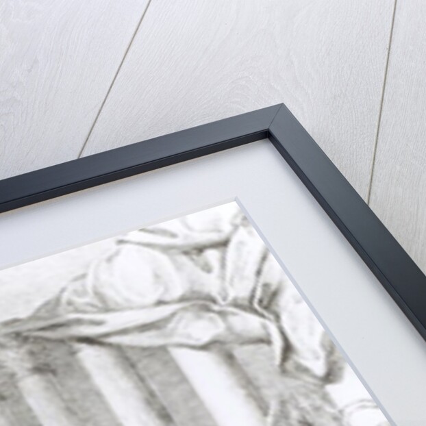 King David Playing the Lyre by Giuseppe Camerata (after)