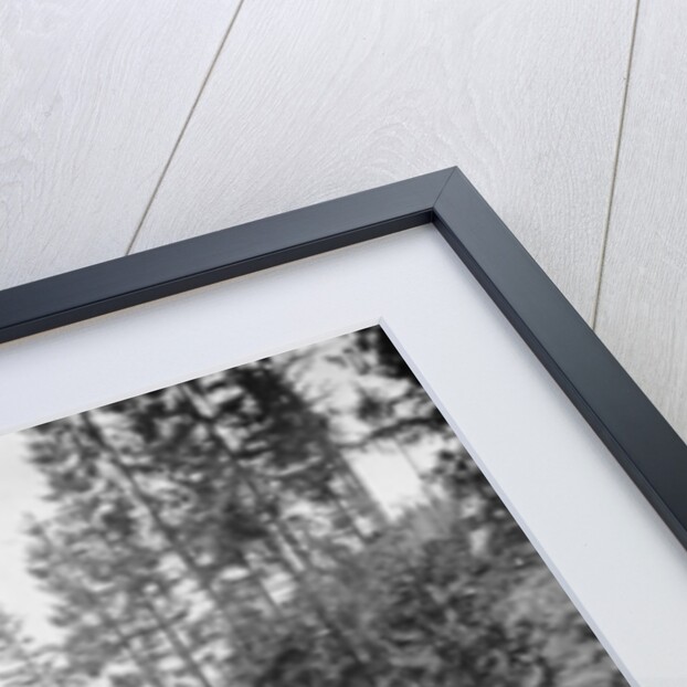 Supply Waggons in Italy during World War I by Anonymous