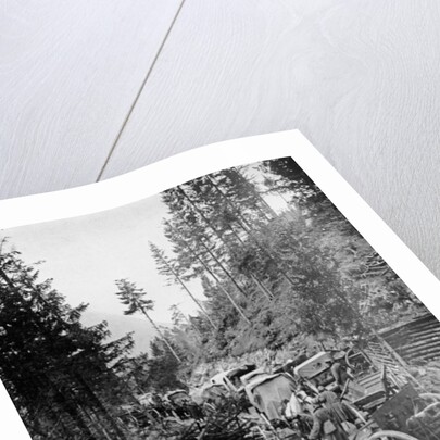 Supply Waggons in Italy during World War I by Anonymous