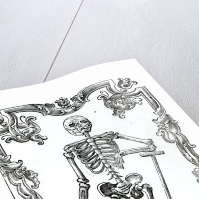 Skeleton with a Shovel by German School