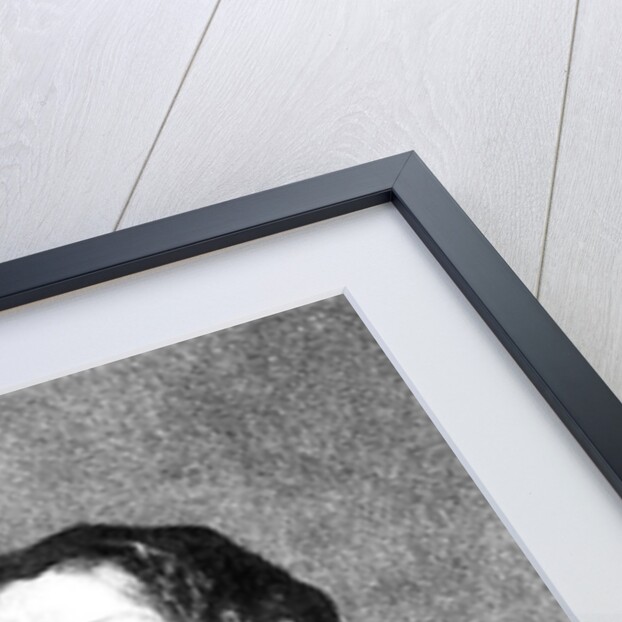 Portrait of Elizabeth Cromwell by English School