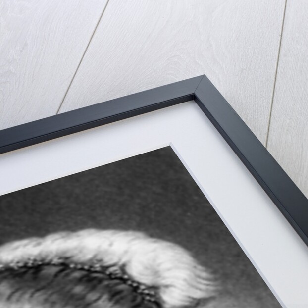 Elizabeth Stuart, Queen of Bohemia illustration from 'Portraits of Characters Illustrious in British History' by English School