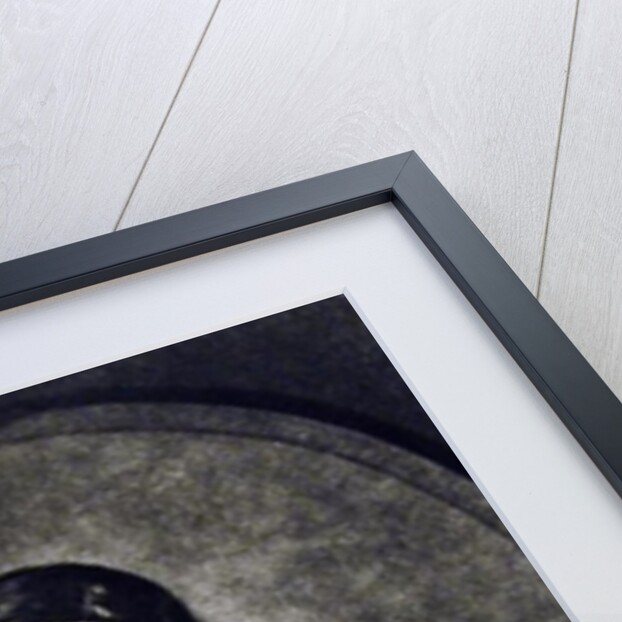 William Prynne illustration from 'Portraits of Characters Illustrious in British History' by Samuel Woodforde