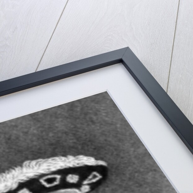 King Henry VIII illustration from 'Portraits of Characters Illustrious in British History' by English School