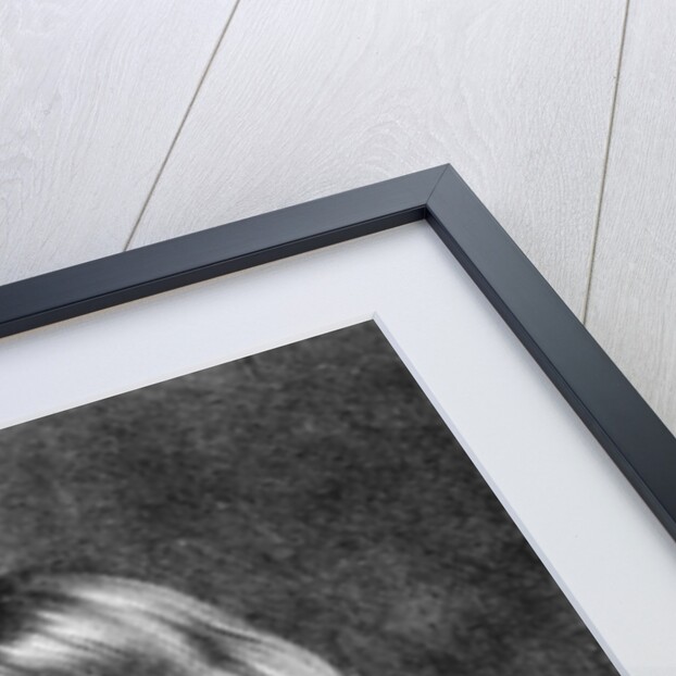 Admiral Earl Penn illustraion from 'Portraits of Charaters Illustrious in British History' by Peter Lely