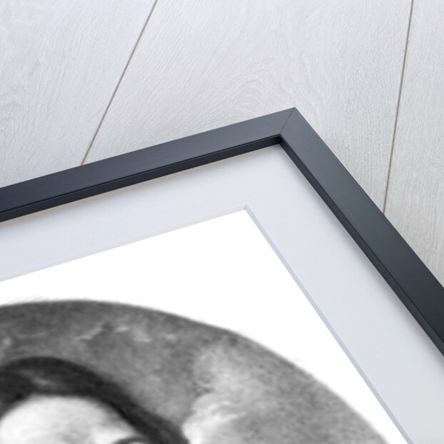 Lord Thomas Fairfax illustration from 'Portraits of Characters Illustrious in British History' by English School