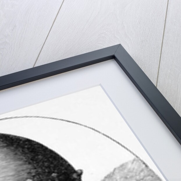 Portrait of Pope Honorius III by English School