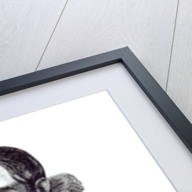 Sir Francis Walsingham by English School