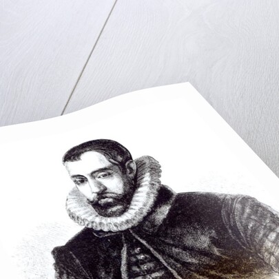 Sir Francis Walsingham by English School