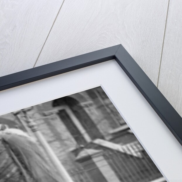 November Effigies, 1877 by John Thomson