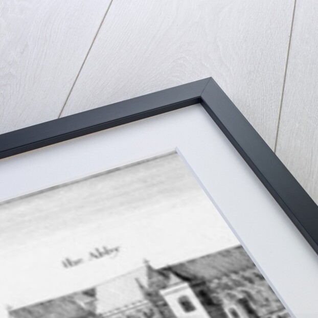 Part of the City of Westminster, 1647 by Wenceslaus Hollar