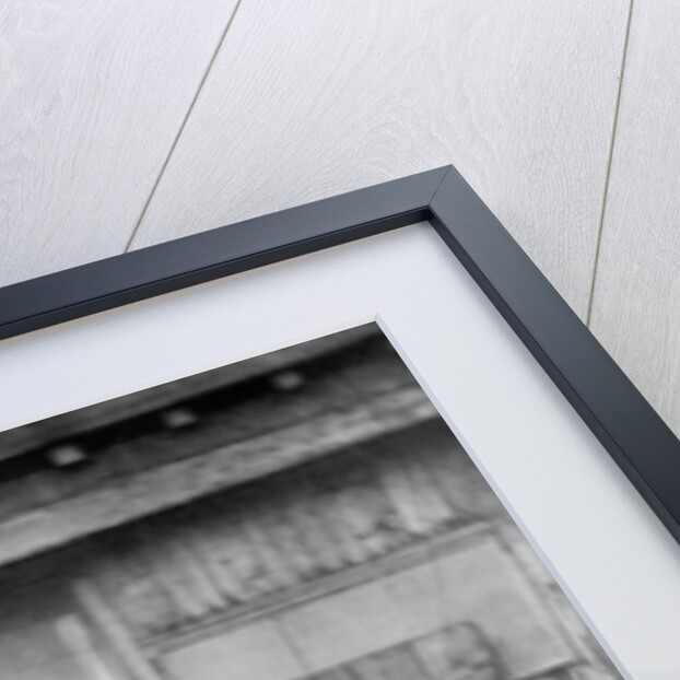 Public Disinfectors by John Thomson