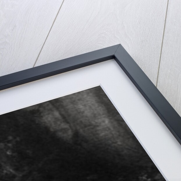 Lady Nelson by Richard Cosway