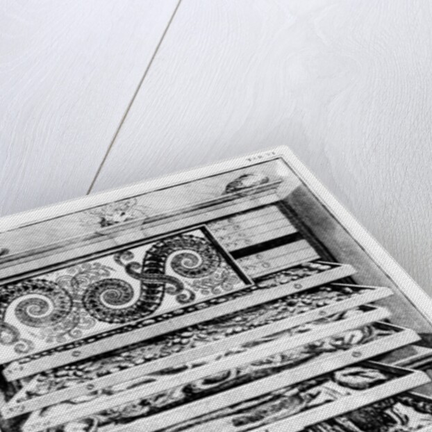 Table 6 from 'Elenchus Tabularum' by Levin Vincent 1719 by English School