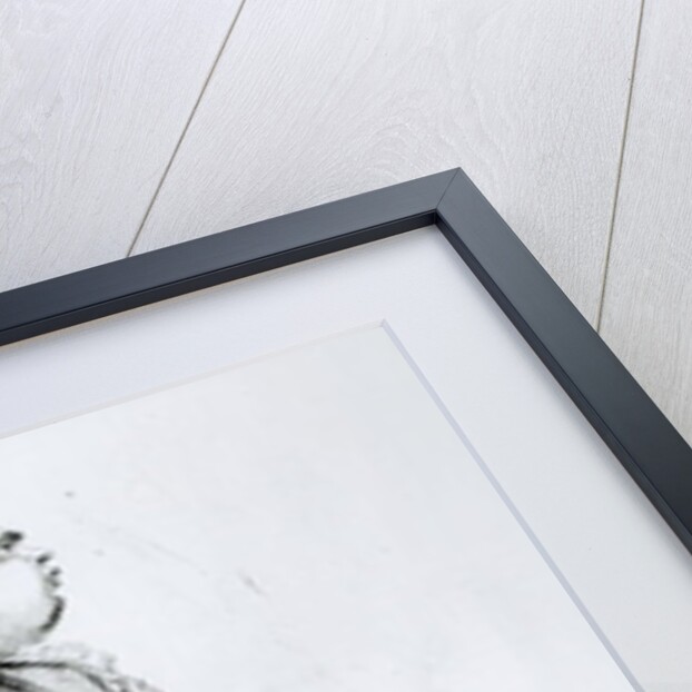 Lord North by English School