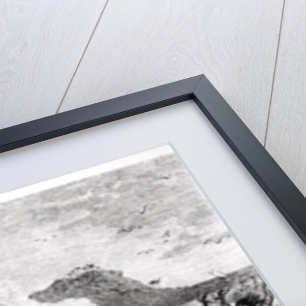 Natives Surfing in the Sandwich Islands by English School