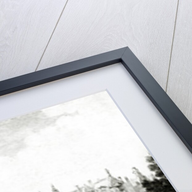 View of Saint-Germain-des-Pres and of the Pre-aux-Clercs during the reign of Charles V by (after) French School