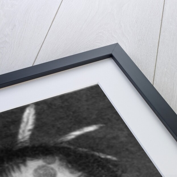 Portrait of a Man of New Zealand by Charles Howard Hodges