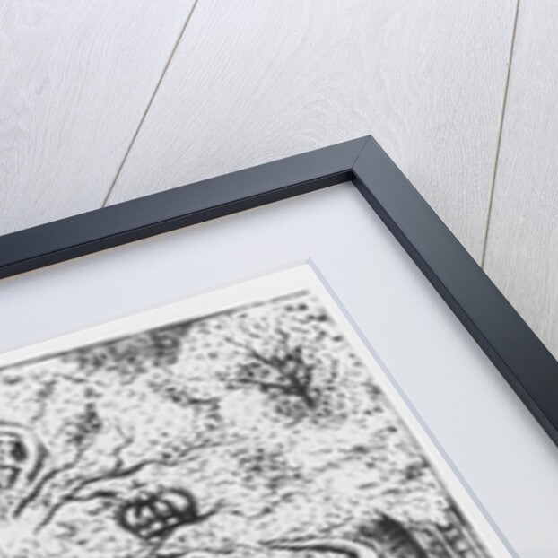 King Charles II hiding in an oak tree at Boscobel after his defeat at the Battle of Worcester in 1651. by English School