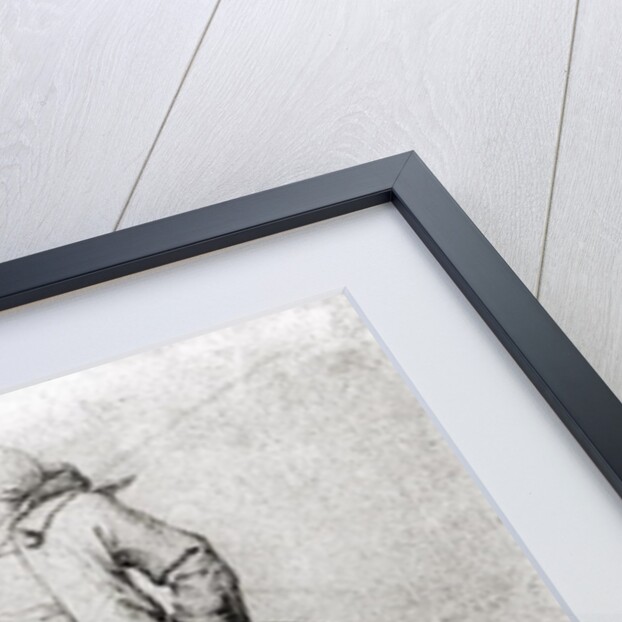 Fool Trying to Hatch an Egg by School English