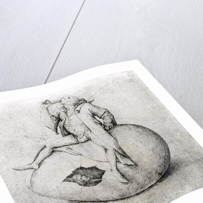 Fool Trying to Hatch an Egg by School English