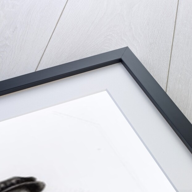 Portrait of William, First Lord Paget by Hans Holbein the Younger