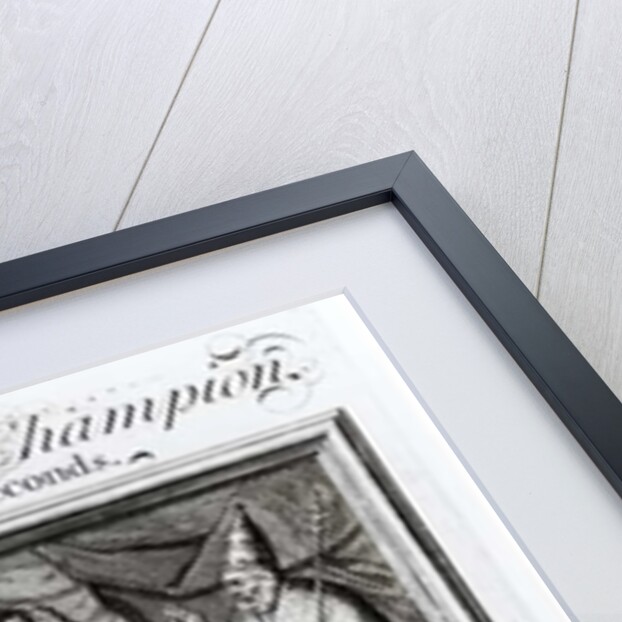 The High Church Champion and his two Seconds, 1709 by English School