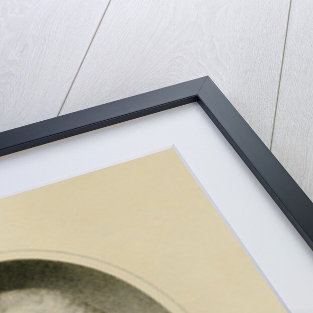 Judge Blackstone, c.1800 by English School