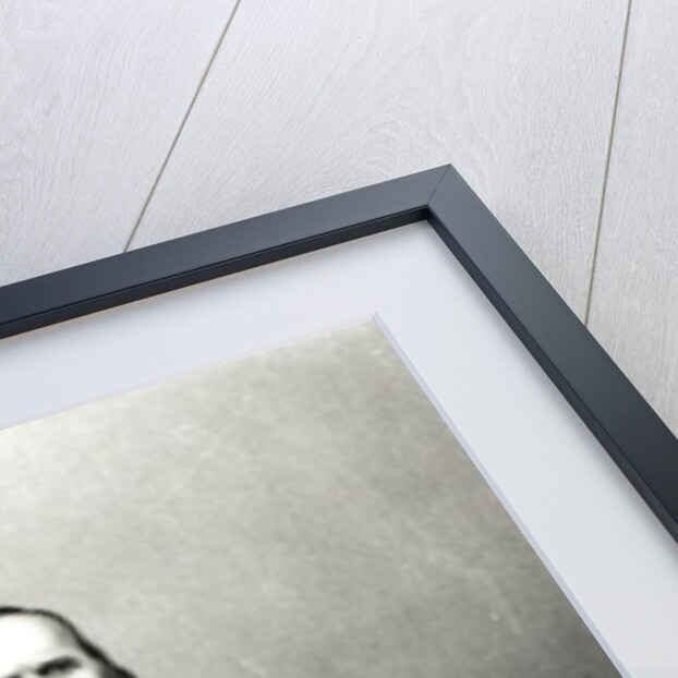 Portrait of Giuseppe Garibaldi by Italian School